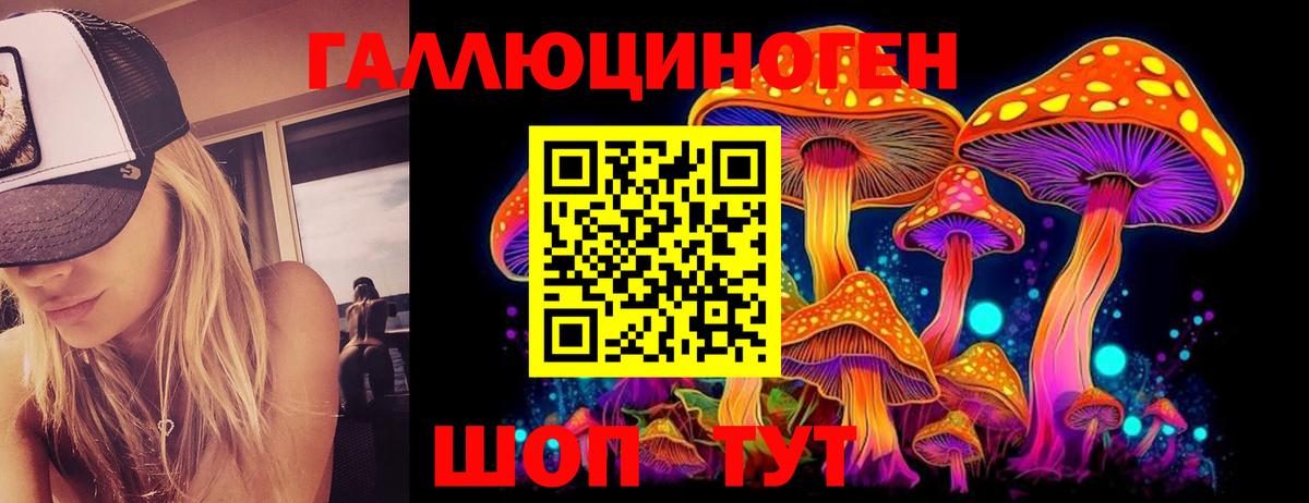 Галлюциногенные грибы Cubensis Каменск-Уральский